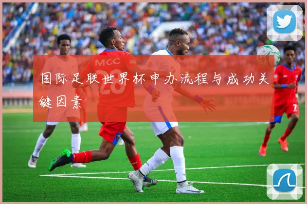 国际足联世界杯申办流程与成功关键因素