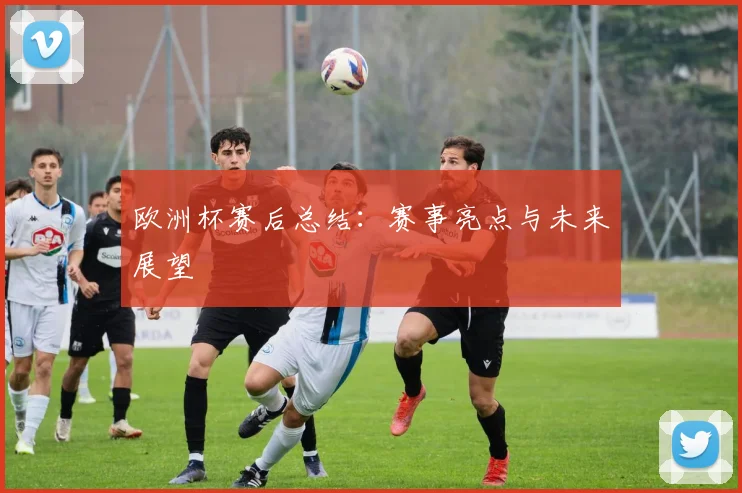 欧洲杯赛后总结:赛事亮点与未来展望