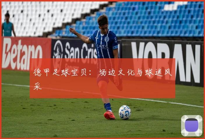 德甲足球宝贝：场边文化与球迷风采
