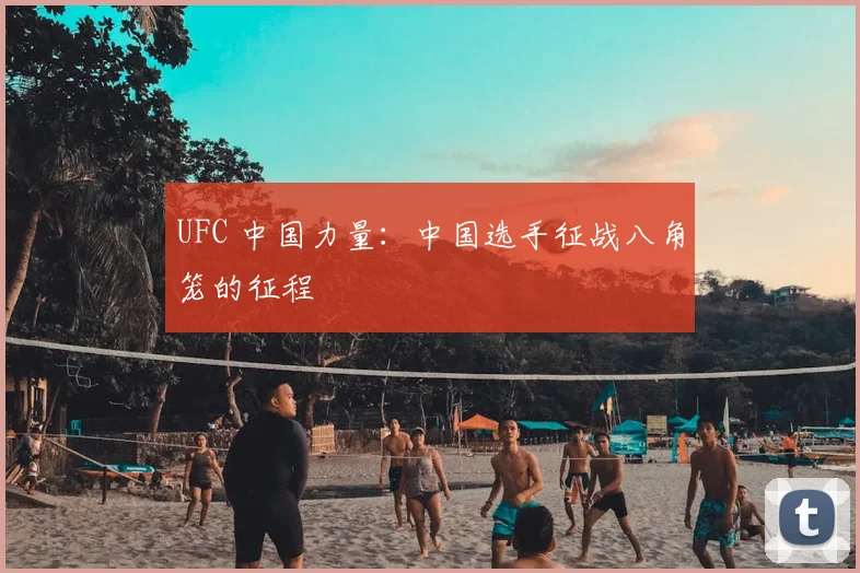 UFC 中国力量：中国选手征战八角笼的征程