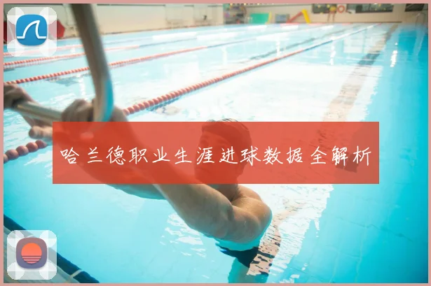 哈兰德职业生涯进球数据全解析